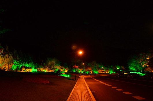 202205171589.jpg 1605778369854193.jpg